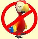 No Parrots