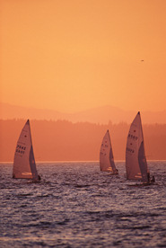 2009.JPG (sailboats in a sunset)