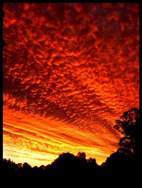 Orange (Clouds)