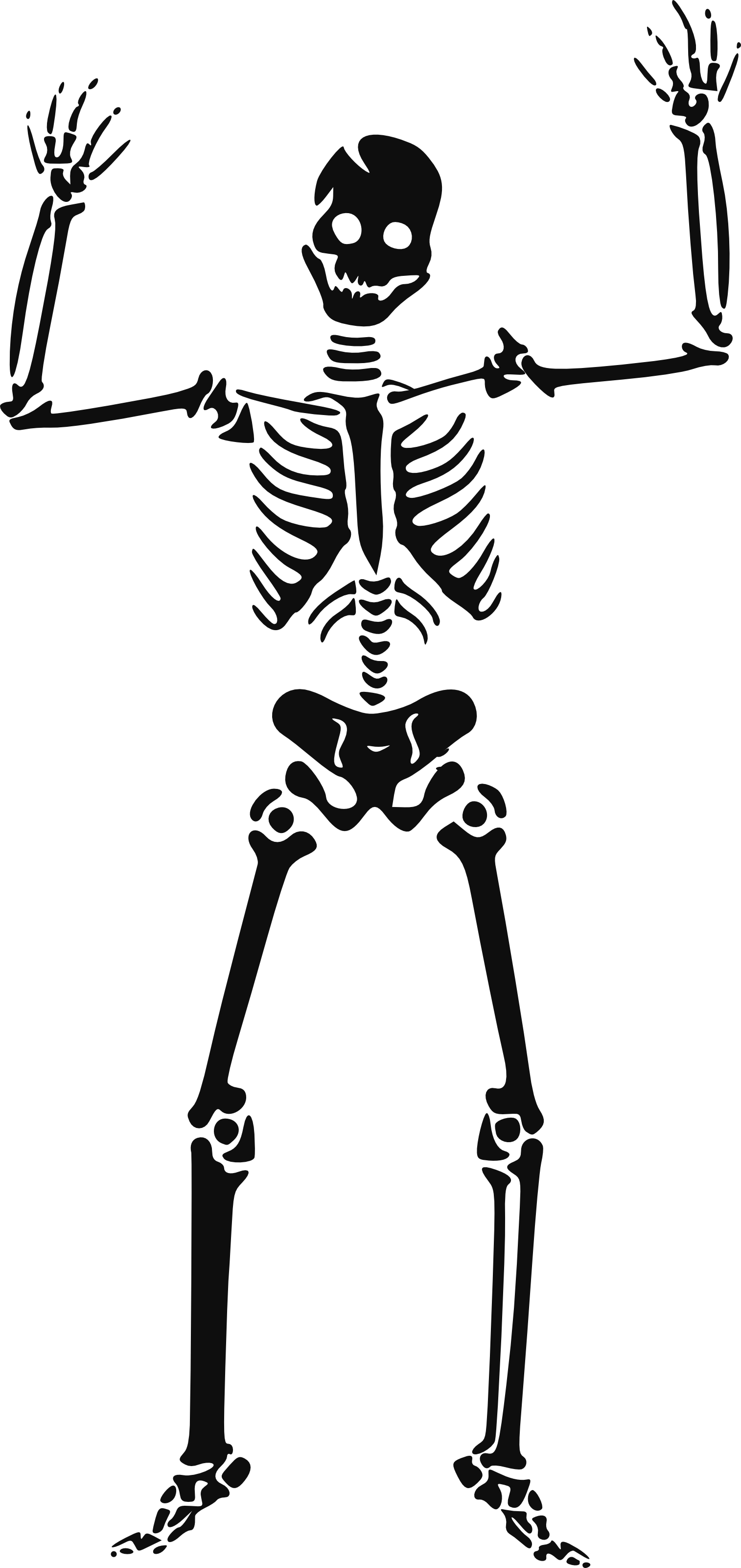 a skeleton