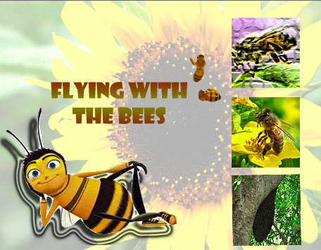 Flying with The Bees