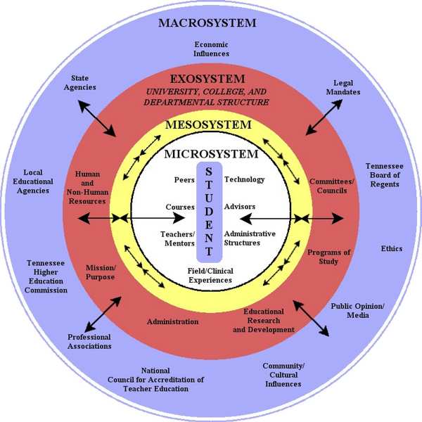 Bronfenbrenner's model.jpg