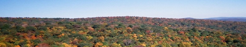 Shenandoahs in Autumn
