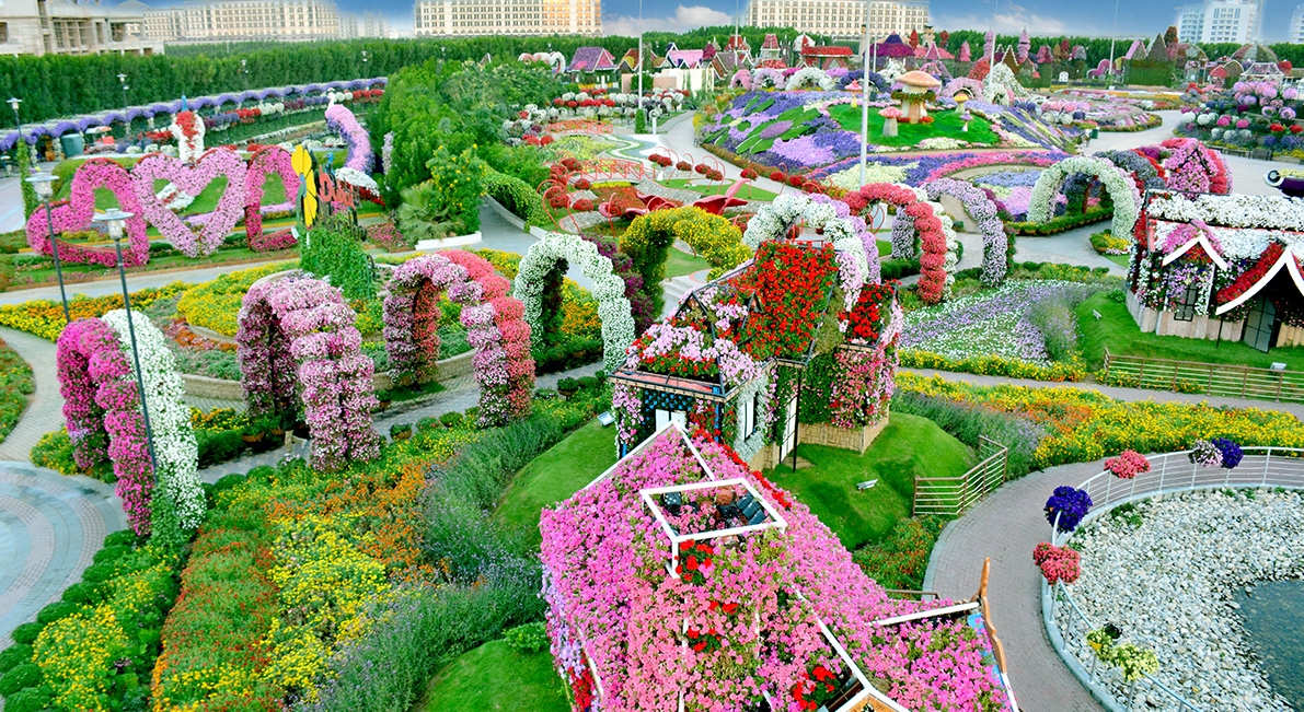 Dubai Miracle Garden Image