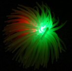 Lighted squiggle ball. It has green rubberized soft spikes and blue, green, and red lights in the center.