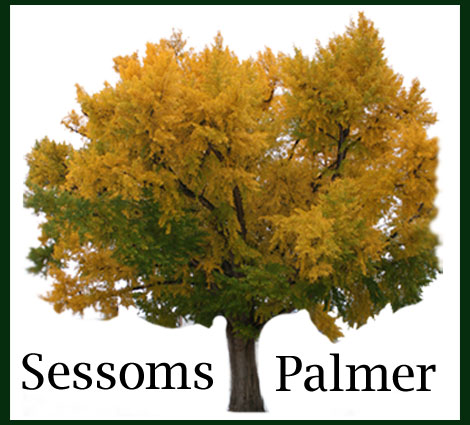 Sessoms Palmer Family Tree photo