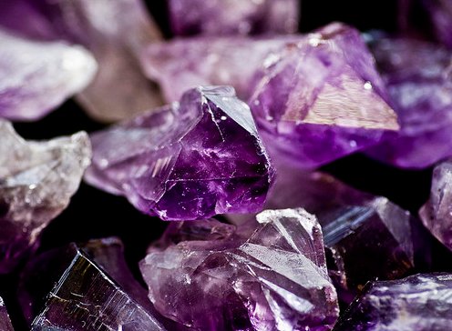What do these purple things have in common? – For the Love of Purple