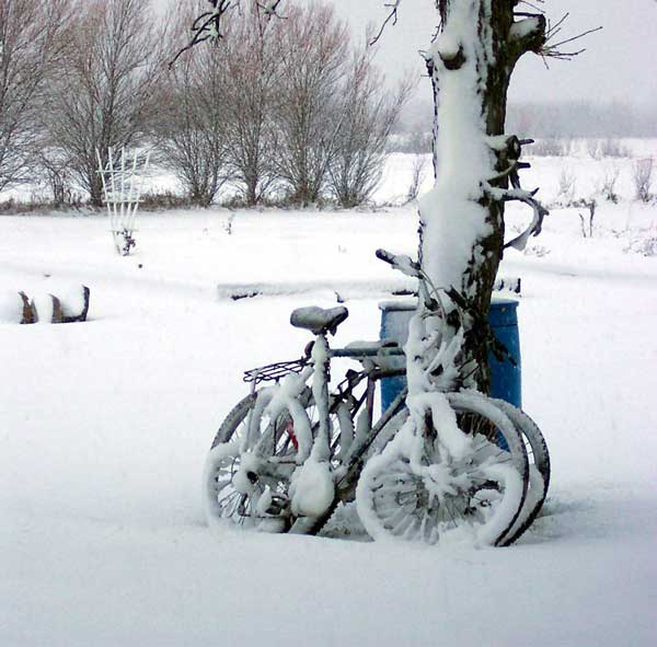 photos of bikes in snow