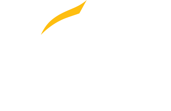 George Mason Logo