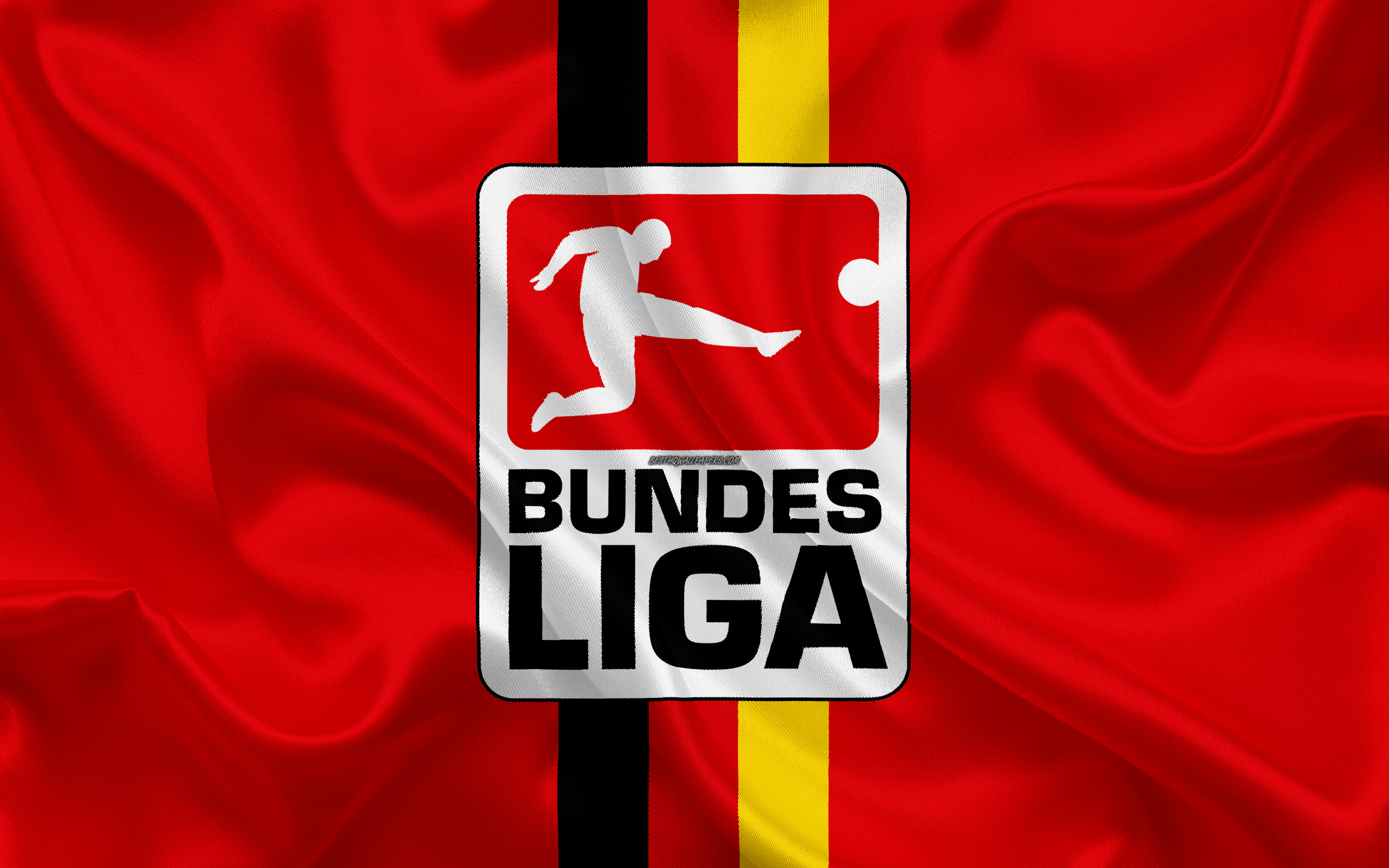 Bundesliga Icon