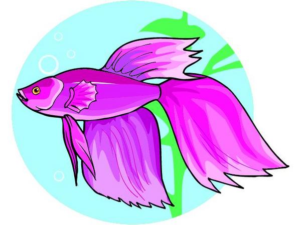 Magenta