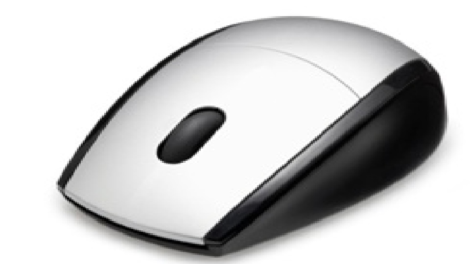 mouse