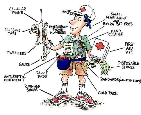 Emergency Planner Character