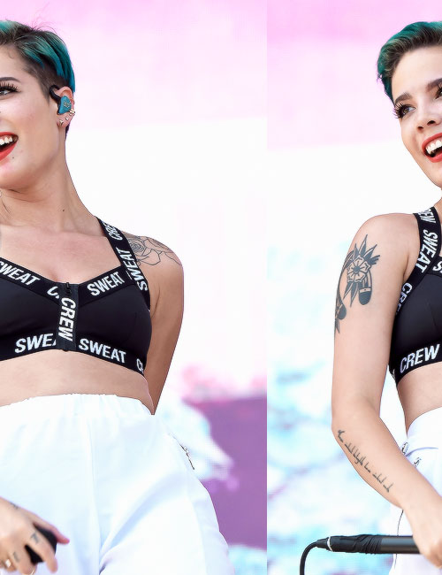 Halsey shear
