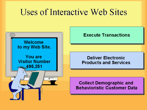 Uses of Interactive Web Sites