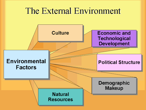 The External Environment