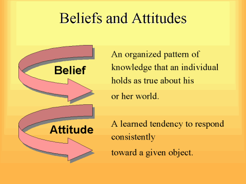 Beliefs And Attitudes