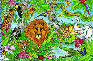 jungle