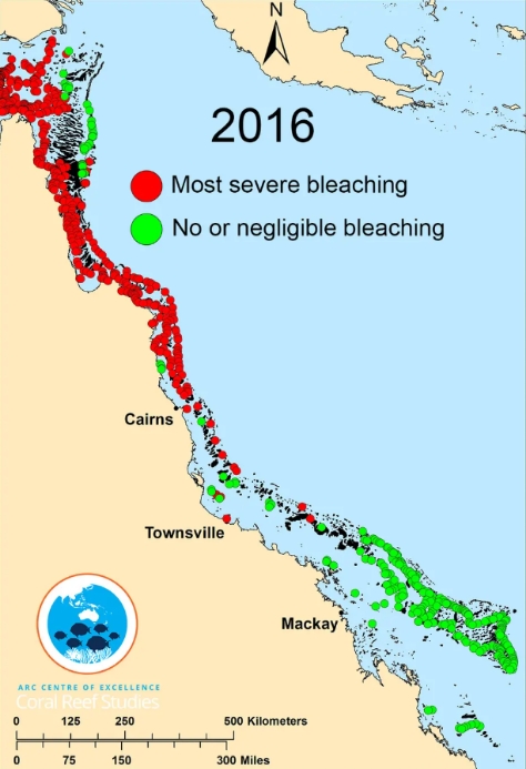 image of an aerial map of the Great Barrier Reef undergoing a bleaching event in 2016