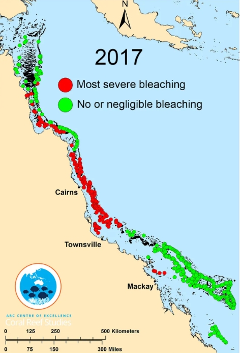 image of an aerial map of the Great Barrier Reef undergoing a bleaching event in 2017