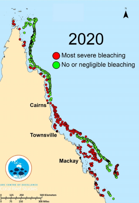 image of an aerial map of the Great Barrier Reef undergoing a bleaching event in 2020