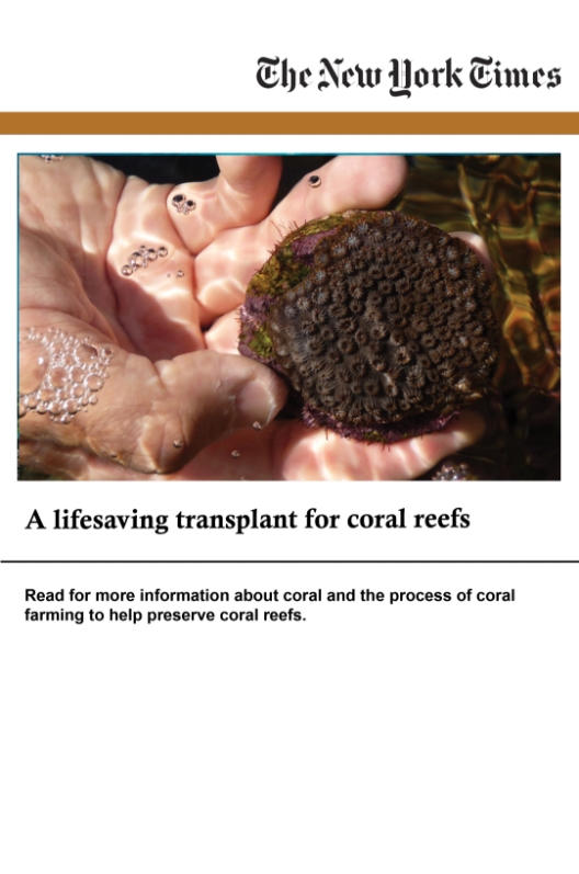 image that directs to an article on New York Times about coral farming