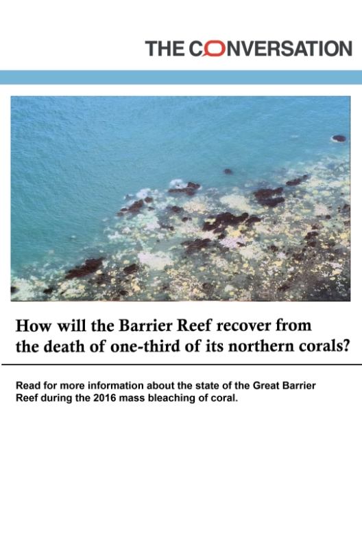 image that directs to an article on the Conversation about the state of the Great Barrier Reef during the 2016 mass bleaching event