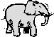 grey elephant