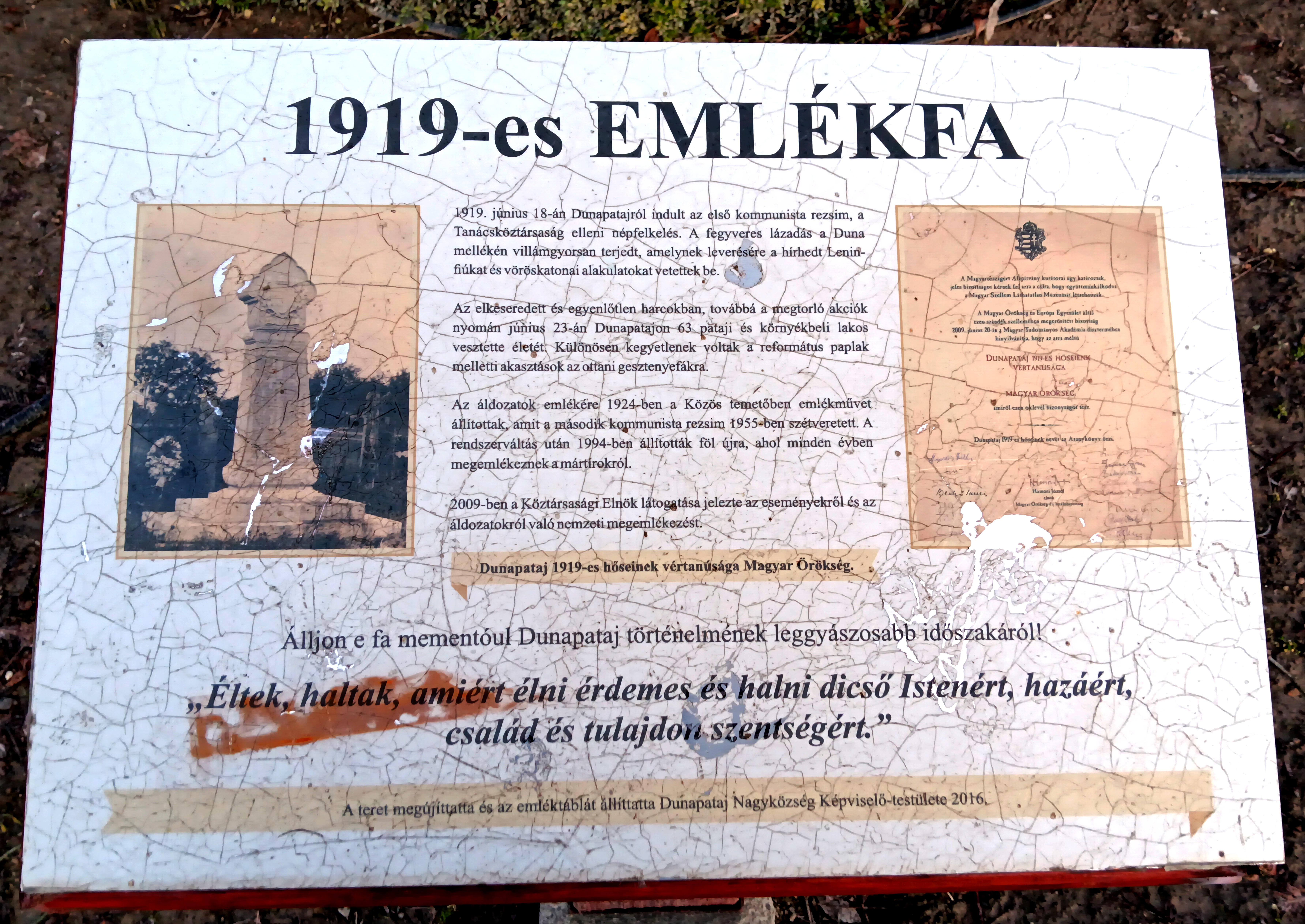 the plaque under the hanging tree in dunapataj