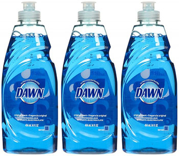 Dawn Soap