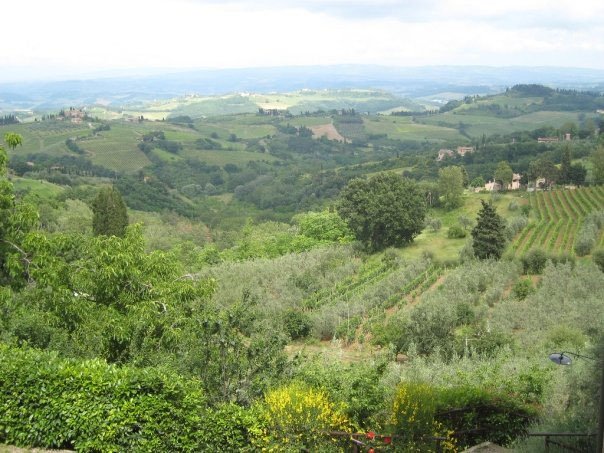 A picture taken of the landscape in Italy over looking a valley of green grass. 