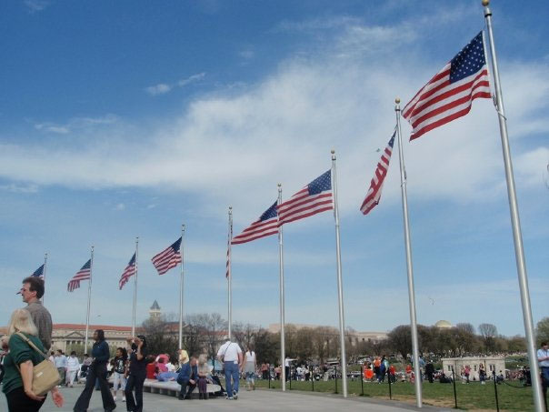 A picture taken in DC of the United States Flags Surrounding the Washington Monument.