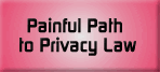 Painful Path to Privacy Law