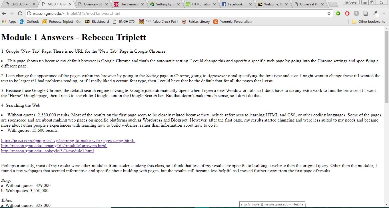 Website with no CSS
