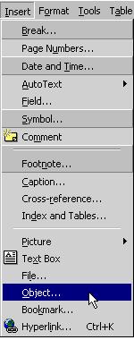 MSWord "Insert Object"