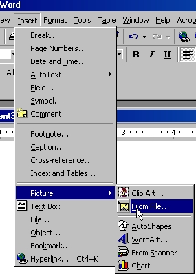 MSWord "insert image from file"