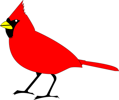 Northern Cardinal (Cardinalis cardinalis)