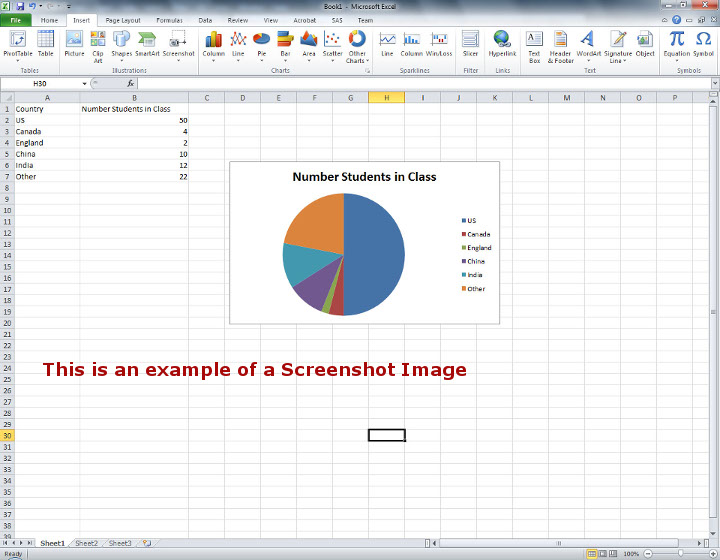 Screen Capture of Excel with Inserted Text