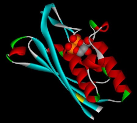 Protein Modeling