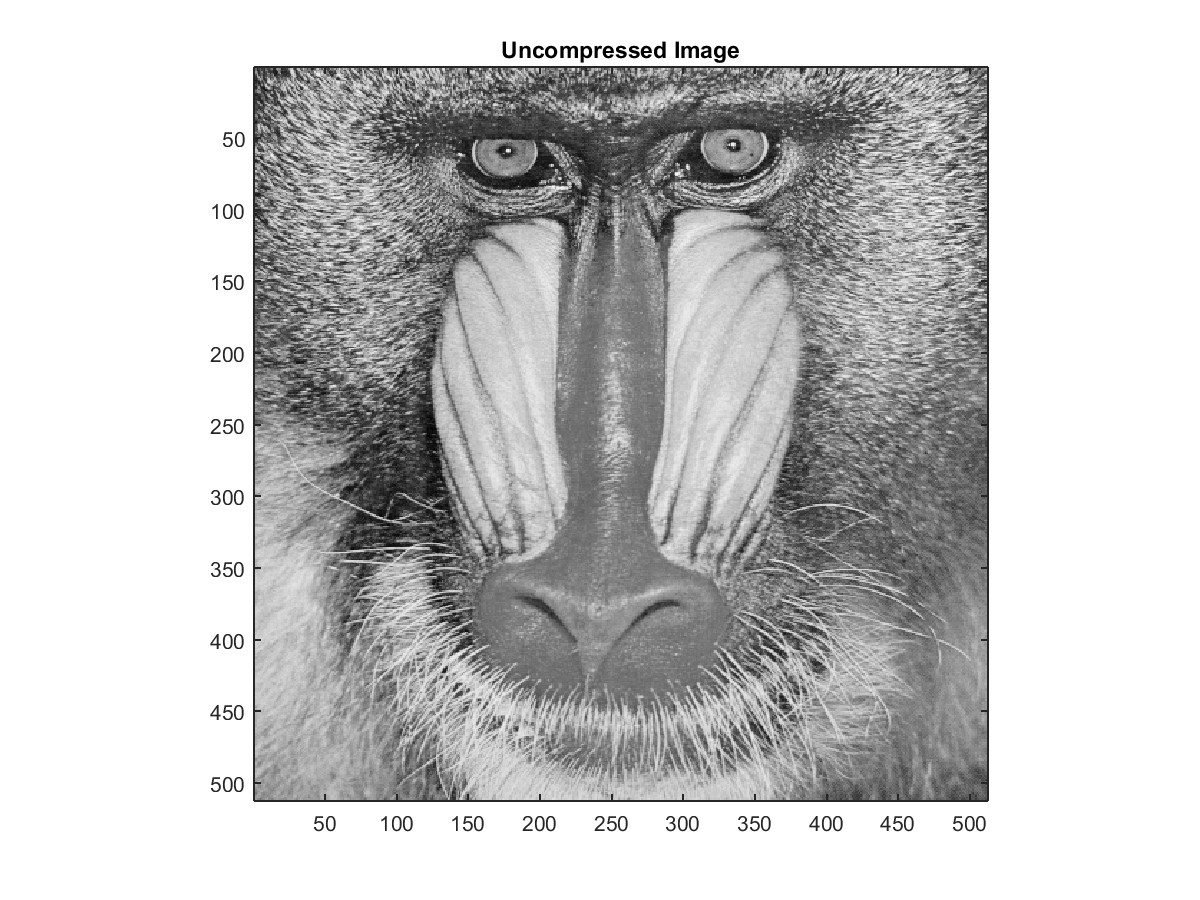 Uncompressed Image