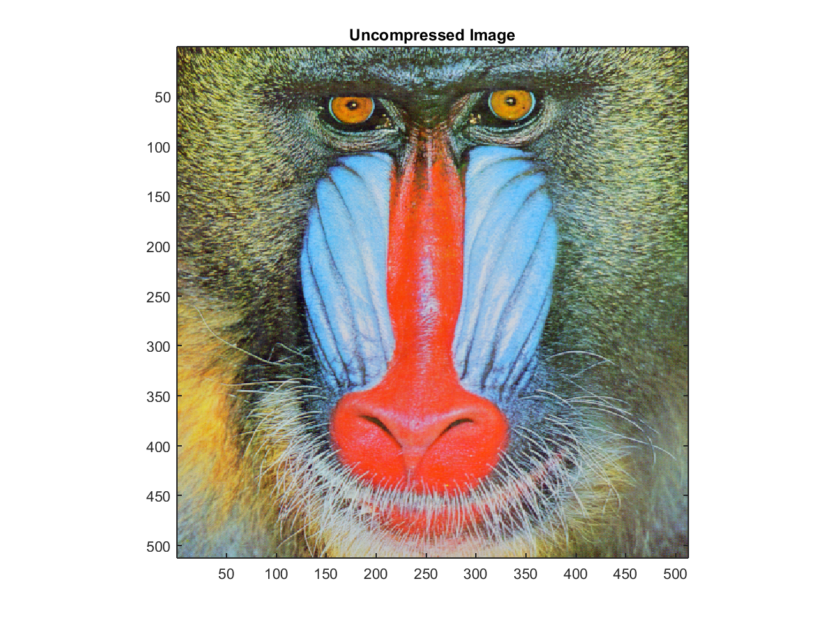 Uncompressed Image