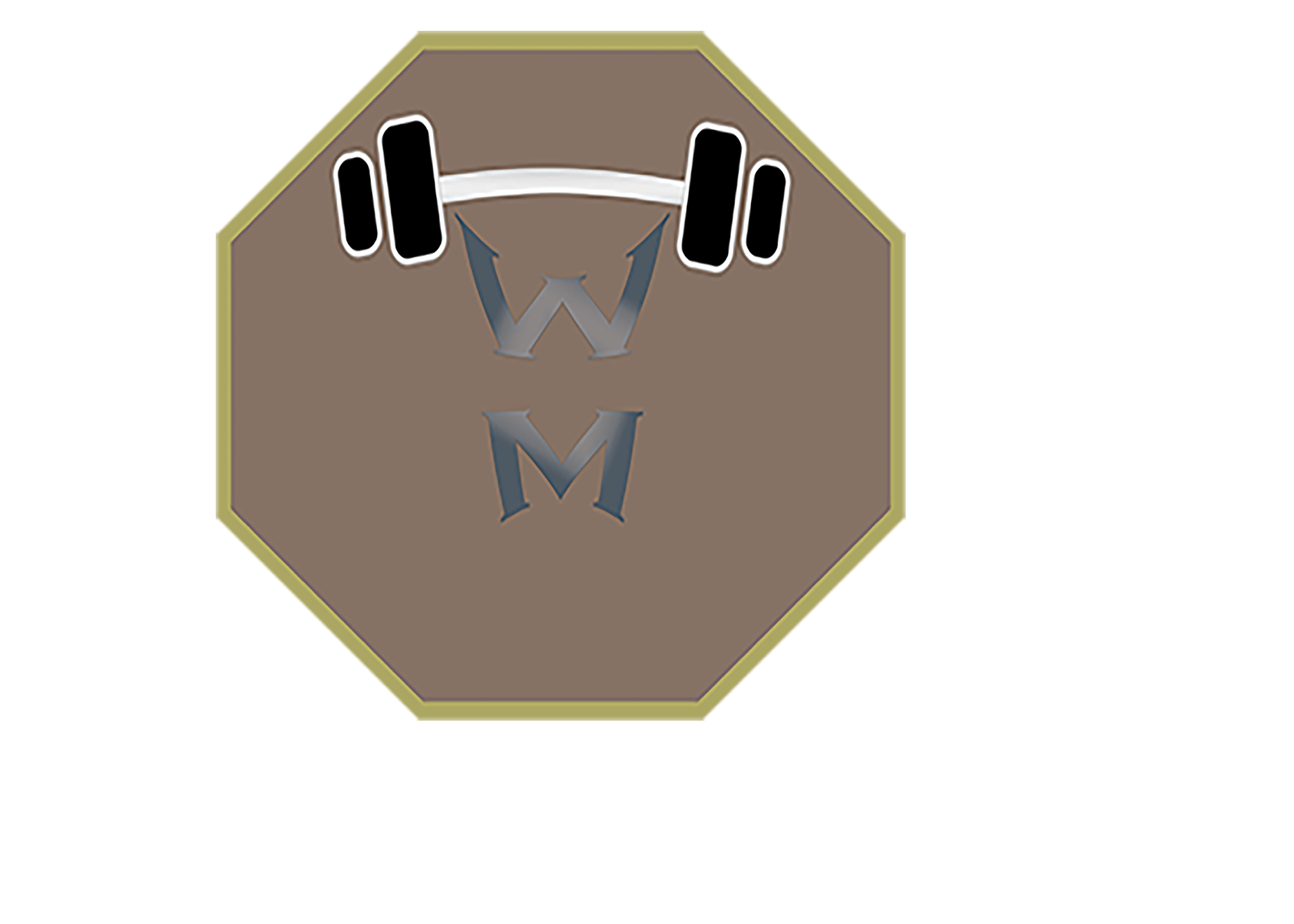 Wass lifts project