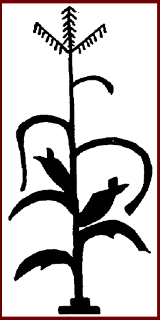 Mesoamerica